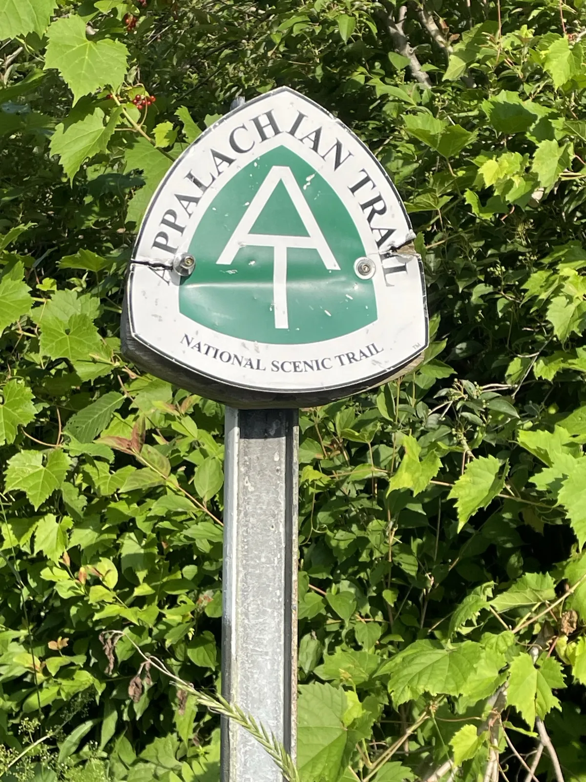 Traveling the Appalachian Trail on the way to Greylock